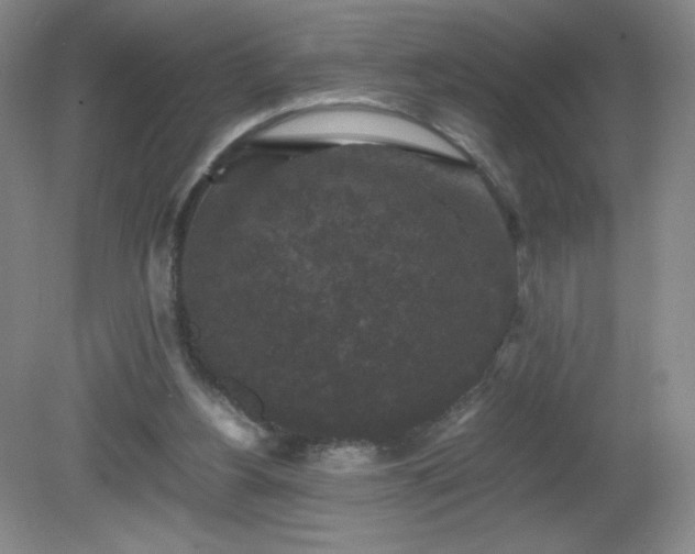 X0000081390156200701182241