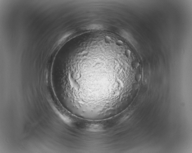 X0000081390157200701182241