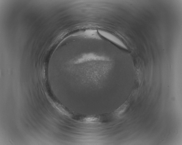 X0000081390158200701182241