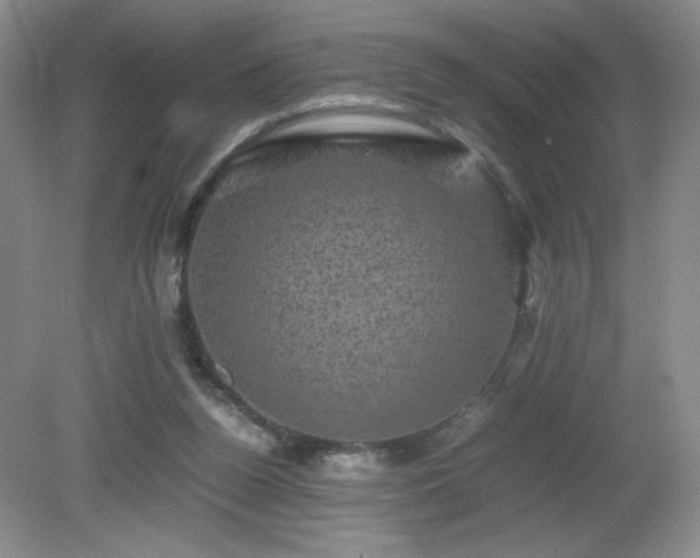 X0000081390160200701182241