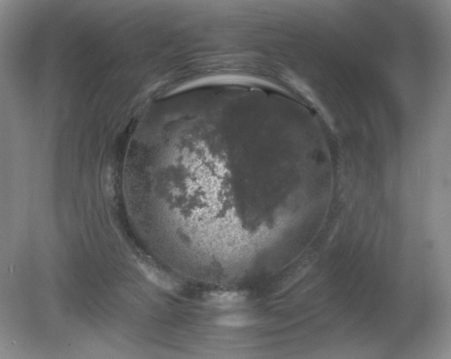 X0000081390161200701182241