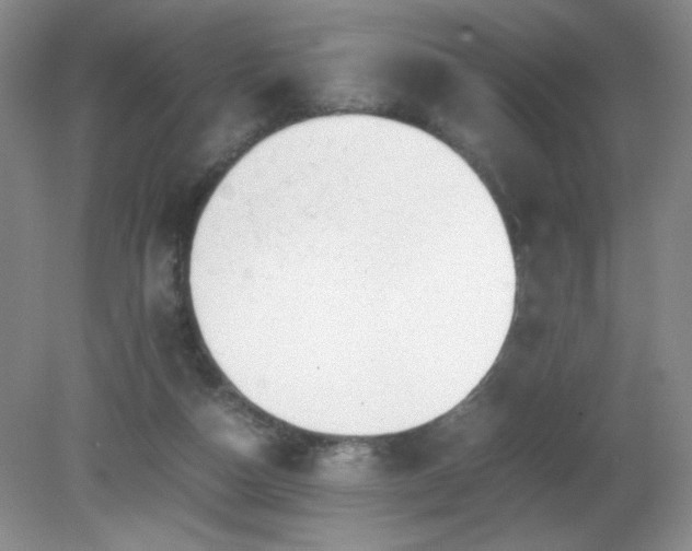 X0000081390162200701182241