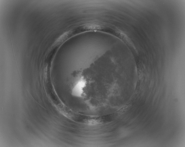 X0000081390163200701182241