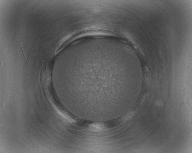 X0000081390164200701182241