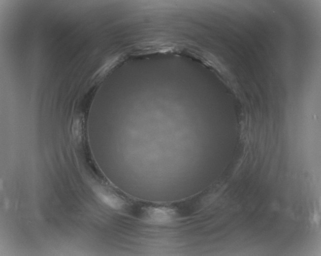 X0000081390165200701182241