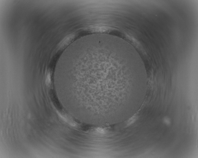 X0000081390166200701182241