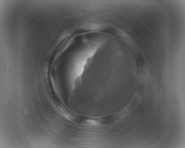 X0000081390167200701182241