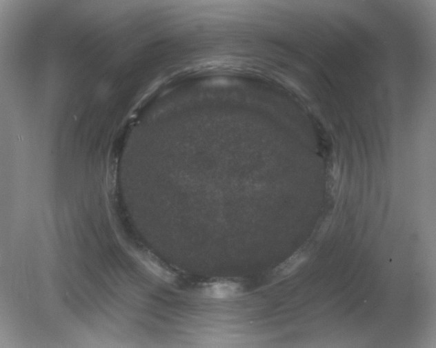 X0000081390168200701182241