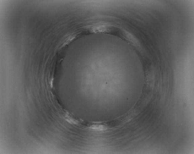 X0000081390169200701182241