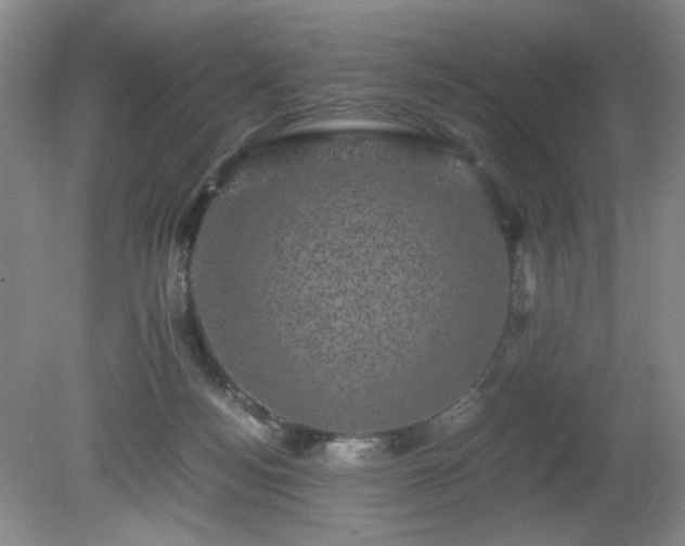 X0000081390172200701182241