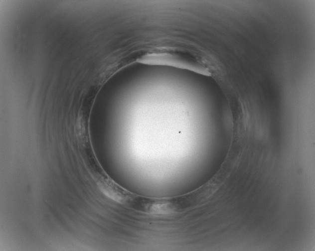 X0000081390173200701182241