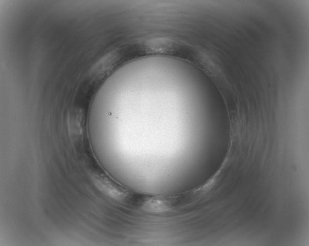 X0000081390174200701182241