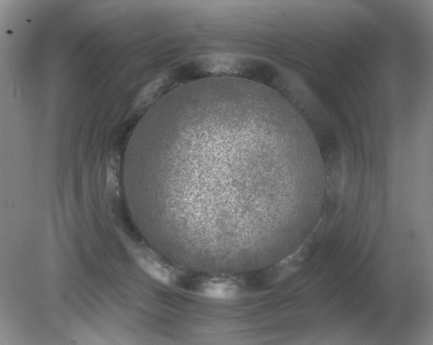 X0000081390175200701182241