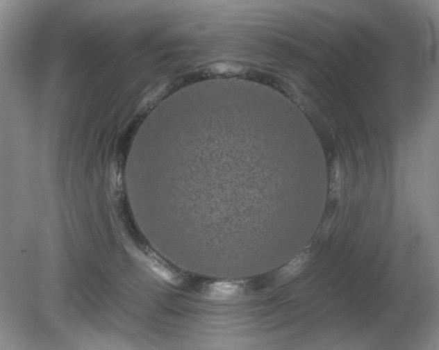 X0000081390176200701182241