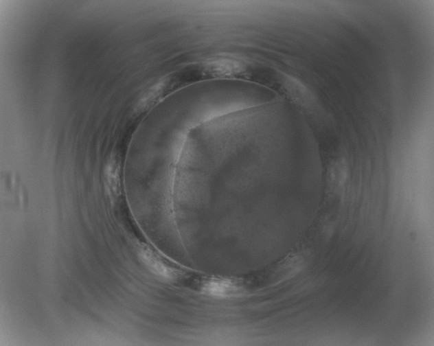 X0000081390177200701182241