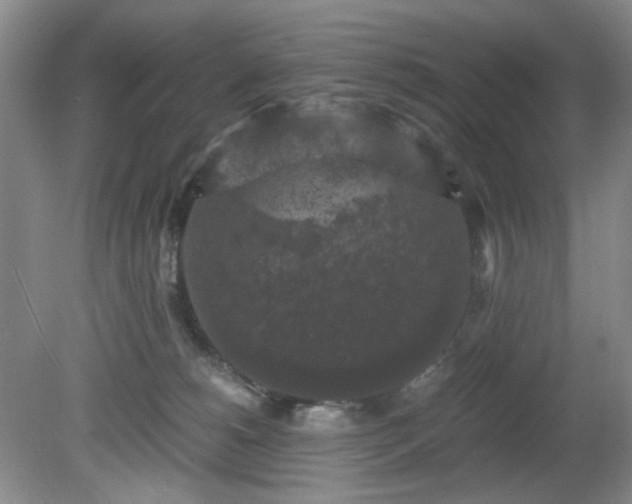 X0000081390180200701182241