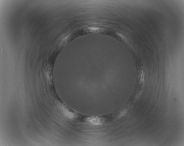 X0000081390181200701182241