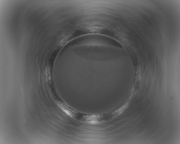 X0000081390182200701182241