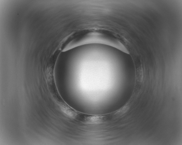 X0000081390184200701182242