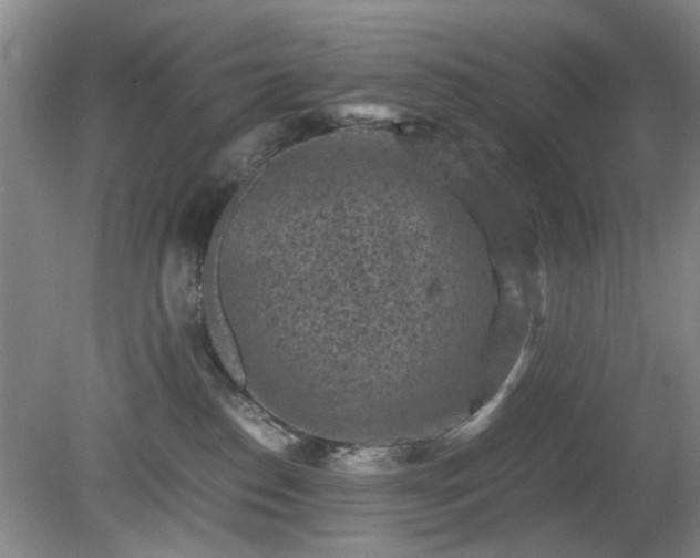 X0000081390186200701182242