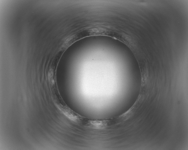 X0000081390187200701182242