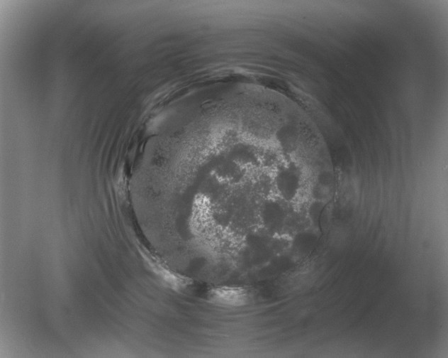 X0000081390189200701182242