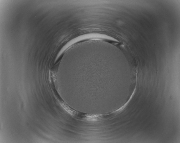 X0000081390190200701182242