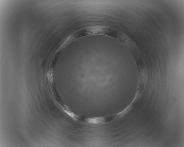 X0000081390191200701182242