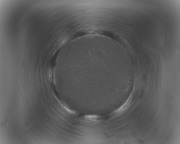 X0000081390192200701182242