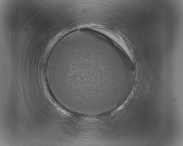 X0000081390193200701182241