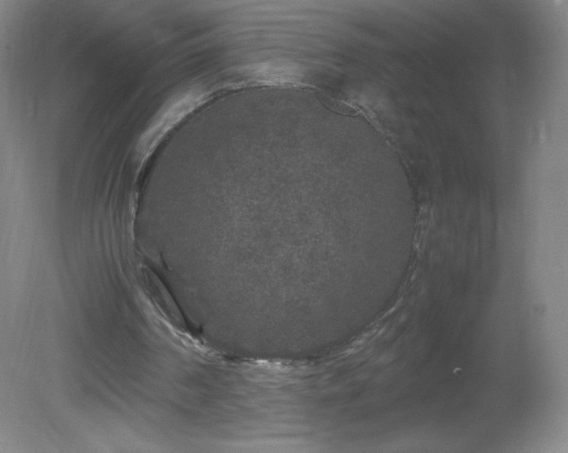 X0000081390194200701182241