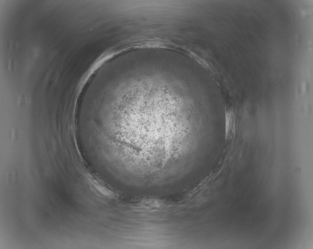 X0000081390195200701182241