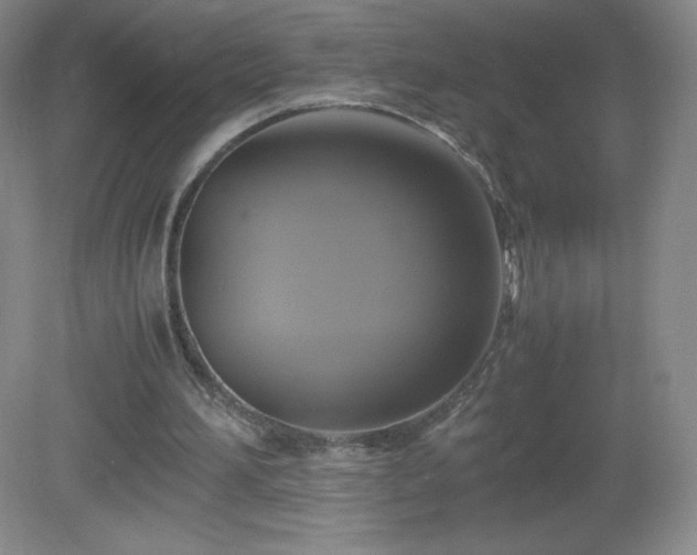 X0000081390196200701182241