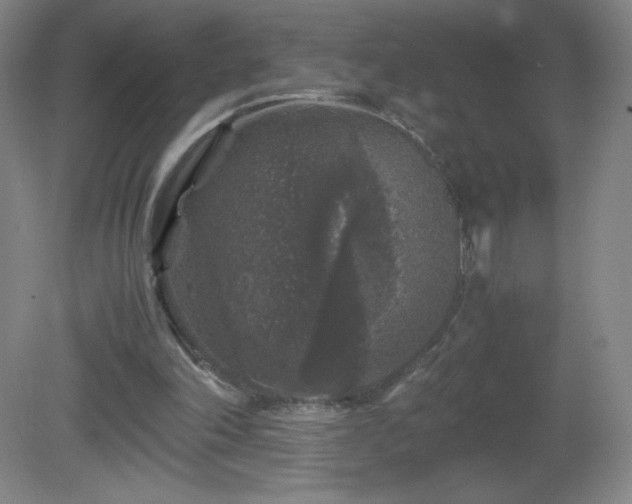 X0000081390198200701182241