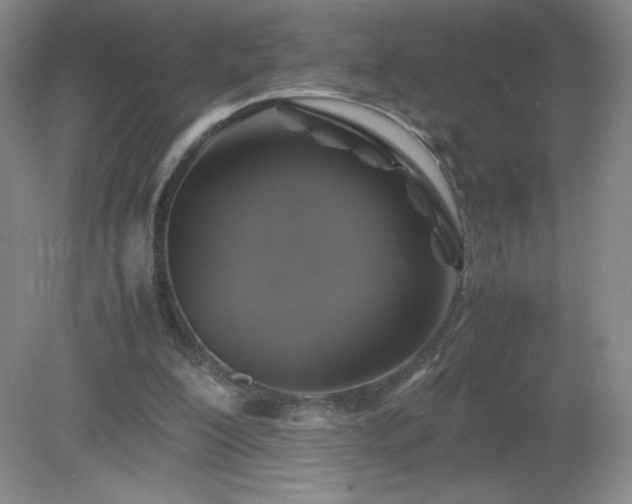 X0000081390200200701182241