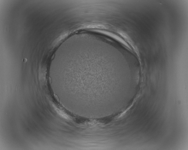 X0000081390201200701182241