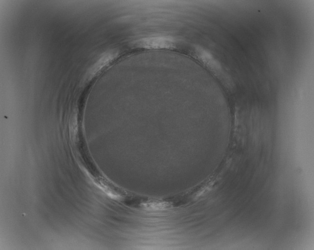 X0000081390202200701182241