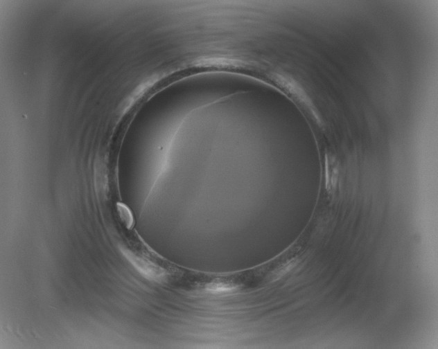 X0000081390204200701182241