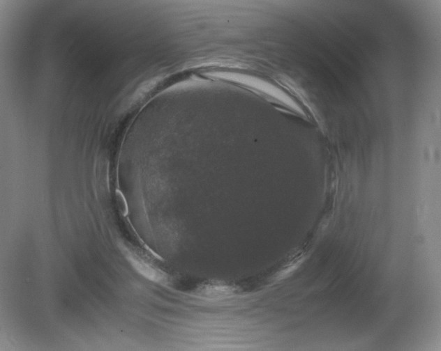 X0000081390205200701182241