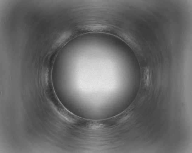 X0000081390206200701182241