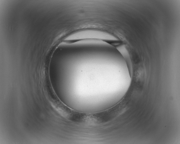 X0000081390207200701182241