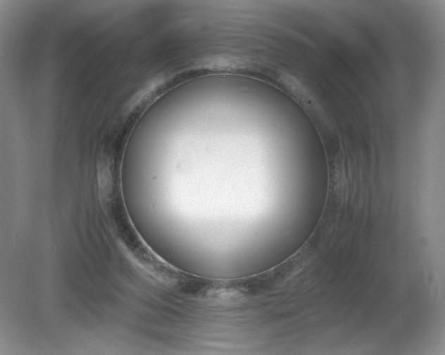 X0000081390208200701182241