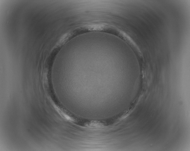 X0000081390209200701182241