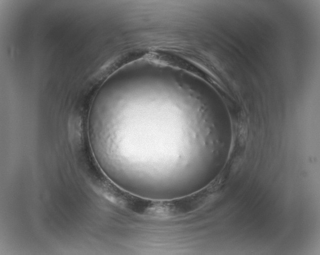 X0000081390211200701182241