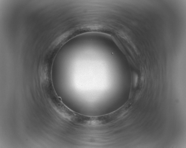 X0000081390212200701182241