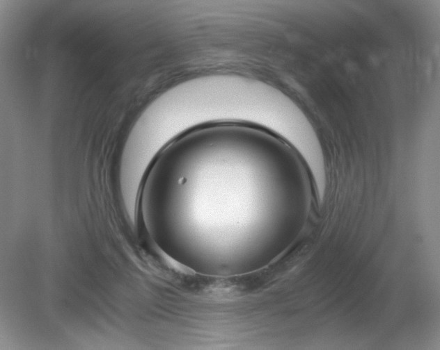 X0000081390213200701182241