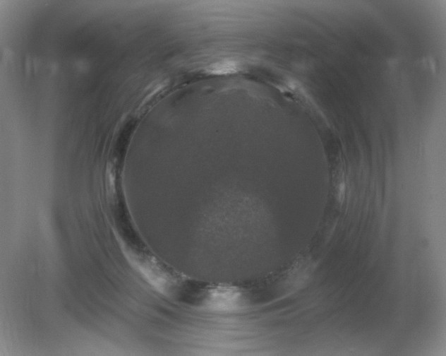 X0000081390214200701182240