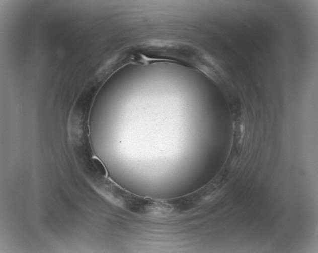 X0000081390215200701182240