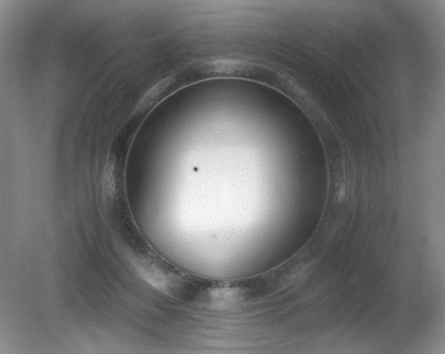 X0000081390216200701182240