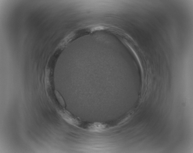 X0000081390217200701182240